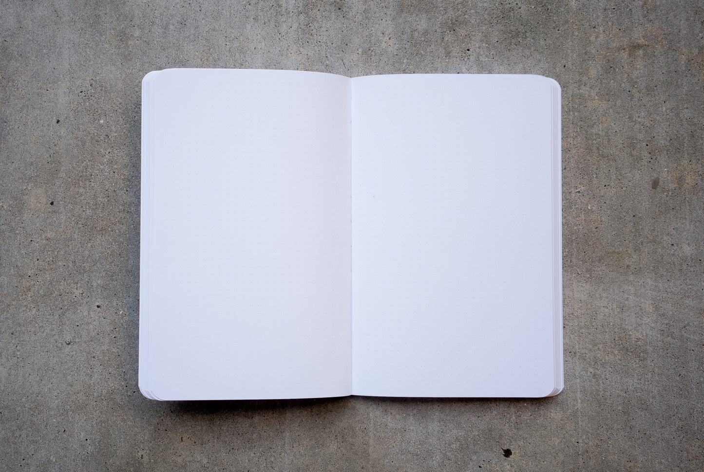 Liberation is Here - Journal
